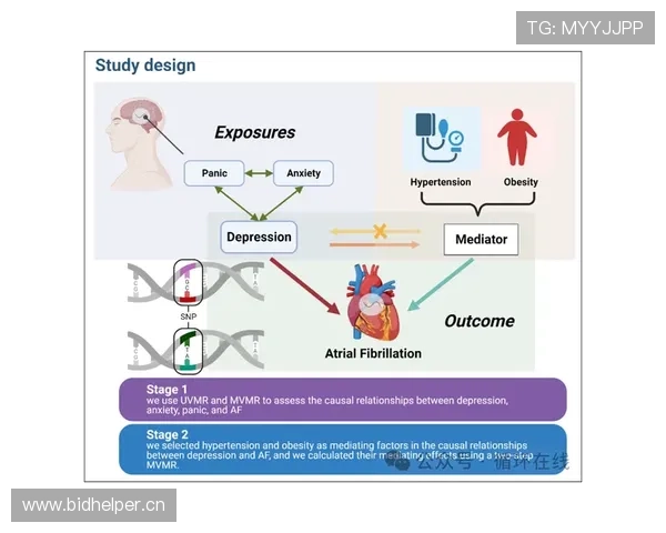 麦迪逊生涯个人表现与团队成绩关联分析